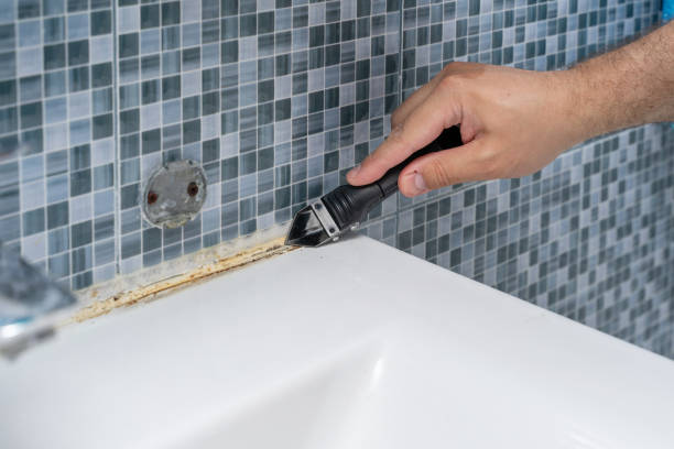 Best Mold Remediation Experts  in Shrub Oak, NY