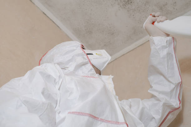 Best Toxic Mold Removal  in Shrub Oak, NY